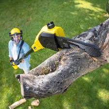 Best Commercial Tree Services  in Copeland, OK