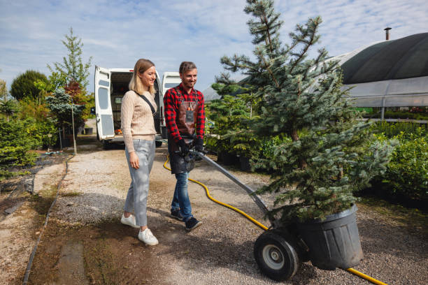 Best Tree Planting  in Copeland, OK